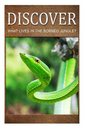 What Lives in the Borneo Jungle? - Discover de Discover Press