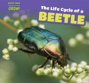 The Life Cycle of a Beetle de Elaine McKinnon