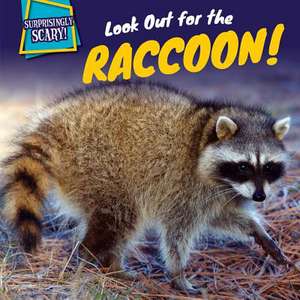 Look Out for the Raccoon! de Caitie McAneney