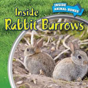 Inside Rabbit Burrows de Liz Chung