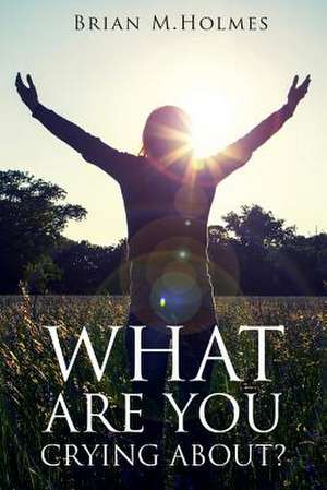 What Are You Crying About? de Brian M. Holmes