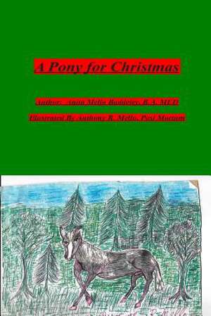 A Pony for Christmas de MS Anita Mello Baddeley