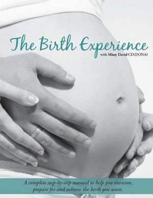 The Birth Experience de Melissa Rose David