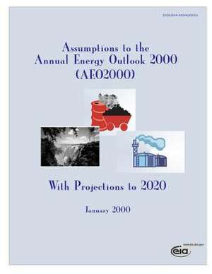 Assumptions to the Annual Energy Outlook 2000(aeo200), with Projections to 2020 de Energy Information Administration