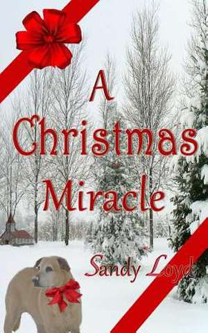 A Christmas Miracle de Sandy Loyd