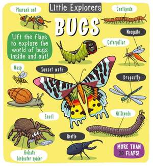 Little Explorers: Bugs de Little Bee Books