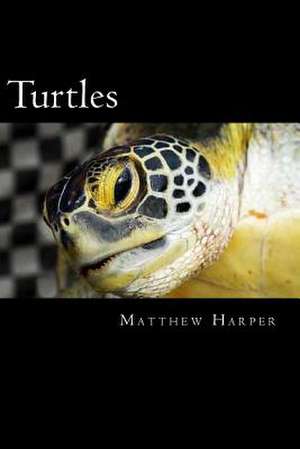 Turtles de Matthew Harper