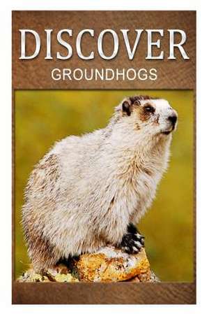 Groundhogs - Discover de Discover Press