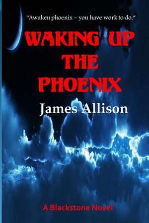 Waking Up the Phoenix de James Allison