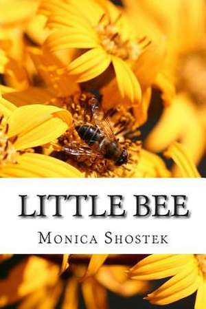 Little Bee de Monica Shostek