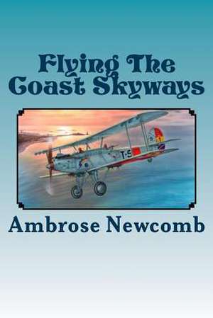 Flying the Coast Skyways de MS Ambrose Newcomb