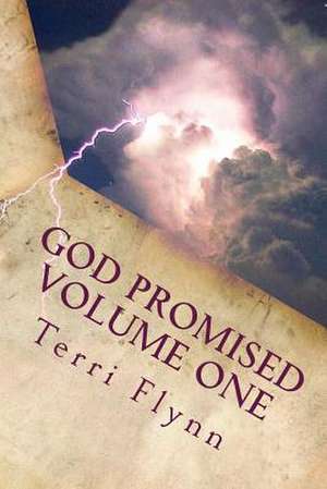 God Promised Volume One de Terri Flynn