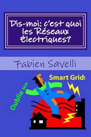 Dis-Moi, C'Est Quoi Les Reseaux Electriques?