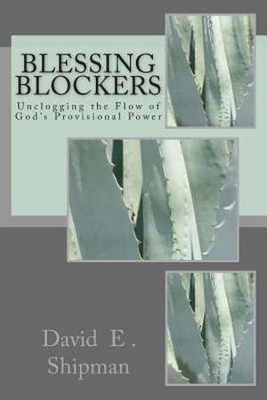 Blessing Blockers de David E. Shipman