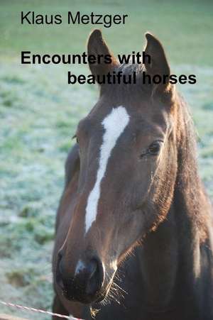 Encounters with Beautiful Horses de Klaus Metzger