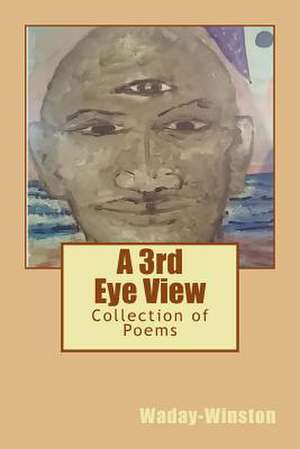 A Third Eye View de Willie a. Smith Jr