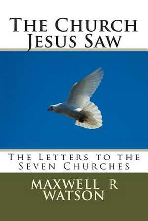 The Church Jesus Saw de M. MR Maxwell R. Watson Bth