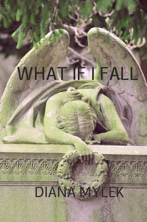 What If I Fall de Diana Mylek