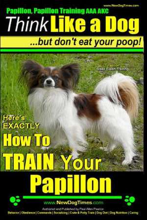 Papillon, Papillon Training AAA Akc de Pearce, MR Paul Allen