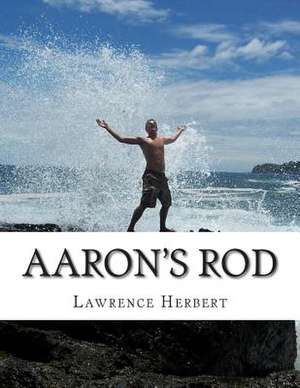 Aaron's Rod de Lawrence David Herbert