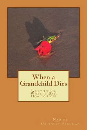 When a Grandchild Dies de Nadine Galinsky Feldman