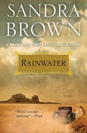 Rainwater de Sandra Brown