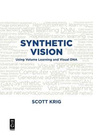 Synthetic Vision de Scott Krig