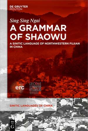 A Grammar of Shaowu de Sing Sing Ngai