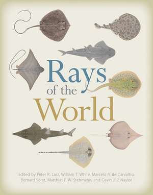 Rays of the World de Peter Last