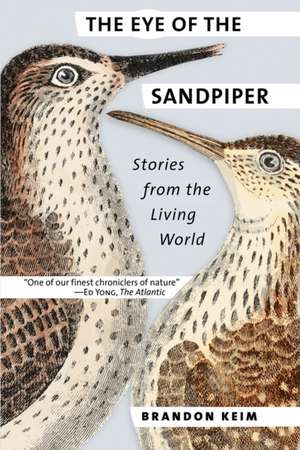 The Eye of the Sandpiper – Stories from the Living World de Brandon Keim