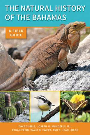 The Natural History of The Bahamas – A Field Guide de Dave Currie