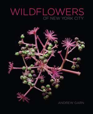 Wildflowers of New York City de Andrew Garn