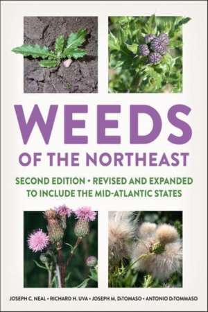 Weeds of the Northeast de Joseph C. Neal