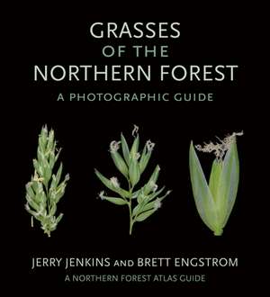 Grasses of the Northern Forest – A Photographic Guide de Jerry Jenkins