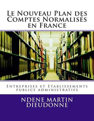 Le Nouveau Plan Des Comptes Normalises En France de MR Ndene Martin Dieudonne MR