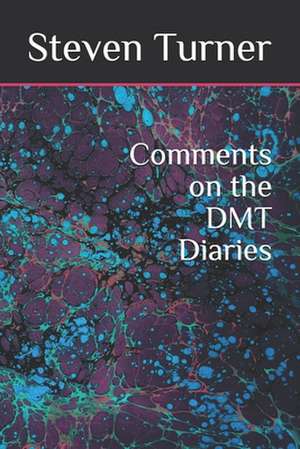 Comments on the Dmt Diaries de Steven Turner