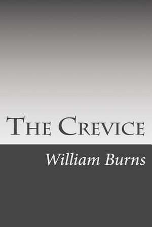 The Crevice de William J. Burns