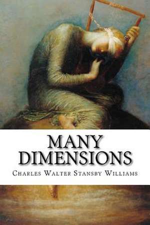 Many Dimensions de Charles Walter Stansby Williams