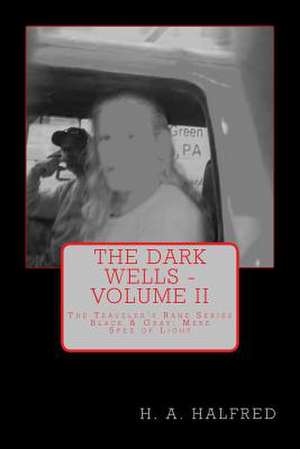 The Dark Wells de H. A. Halfred