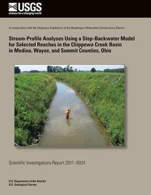 Stream-Porfile Analyses Using a Step-Backwater Model for Selected Reaches in the Chippewa Creek Basin in Medina, Wayne and Summit Counties, Ohio de U. S. Department of the Interior