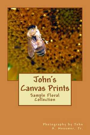 John's Canvas Prints de Messmer Jr, MR John a.