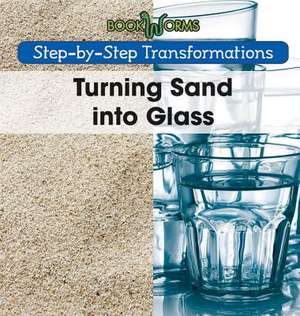 Turning Sand Into Glass de Amy Hayes