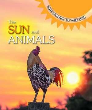 The Sun and Animals de Joanne Mattern