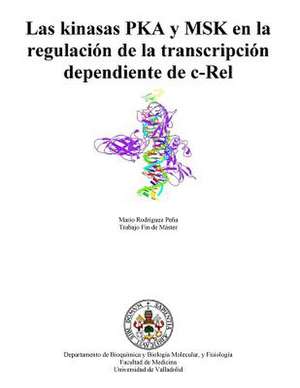 Las Kinasas Pka y Msk En La Regulacion de La Transcripcion Dependiente de C-Rel de Mario Rodriguez Pena