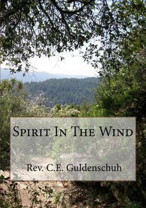 Spirit in the Wind de Rev C. E. Guldenschuh