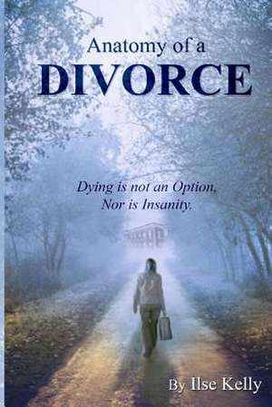 Anatomy of a Divorce de Ilse Kelly