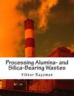 Processing Alumina- And Silica-Bearing Wastes de Viktor L. Rayzman