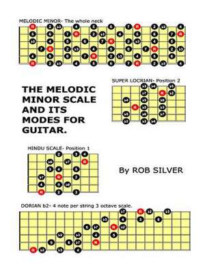 The Melodic Minor Scale and Its Modes for Guitar de Rob Silver