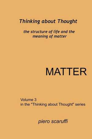 Thinking about Thought 3 - Matter de Piero Scaruffi