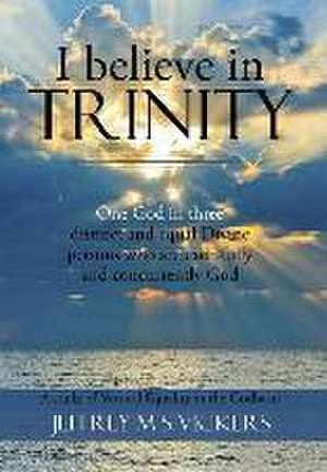 I Believe in Trinity: A Study of Vertical Equality in the Godhead de Jeffrey M S Vickers
